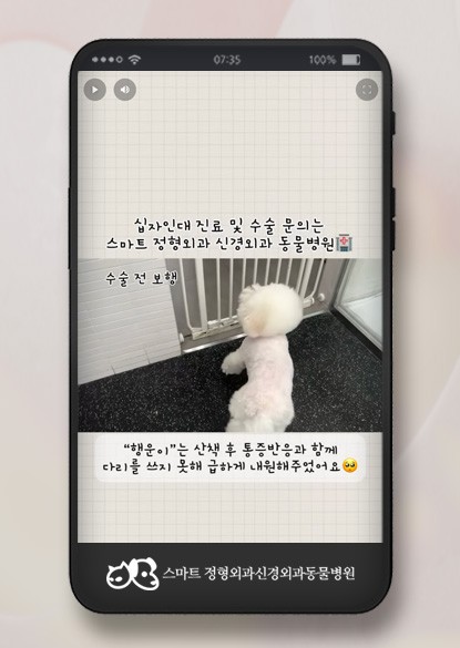 스마트동물병원 정형외과 신경외과